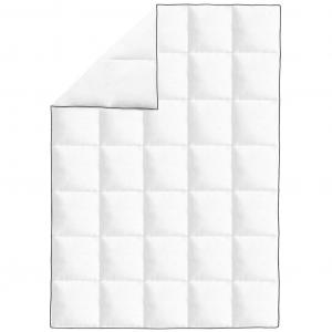 VidaXL зимнее пуховое одеяло, 2 шт., 155x220 см