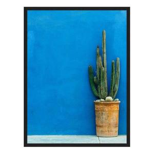 Картина Any Image Blue Wall with Cactus, 62x82x2,6 см