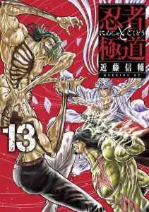 Ninja and Yakuza (13) (Morning KC)