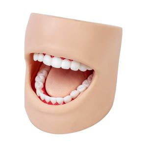 Модель стоматологической помощи Inna marka