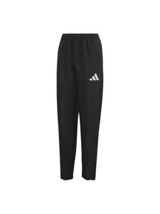 Adidas Performance Брюки для тренировок Regular 'ENT26' черные