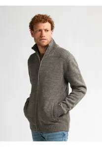 Кардиган с изображением медведя Petrol Industries, Mossy Stone