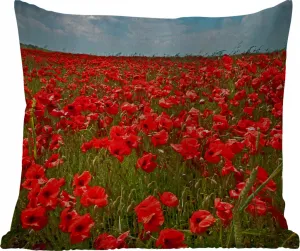 Подушка для улицы Луг, полный маков - 50 x 50 см - водонепроницаемая - подушка для отдыха - удобная - подушка с изображением MuchoWow