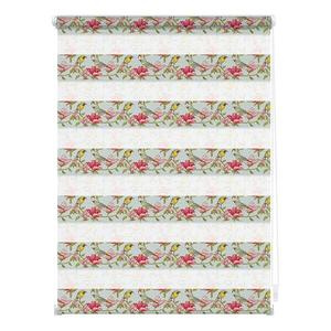 Рулонные шторы Lichtblick Birds, 70x150x6 см цвет grün/pink