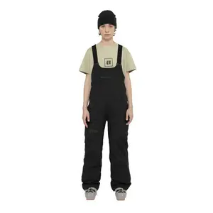 Брюки Armada Talyah 2L Cargo Bib, черный