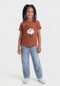 Футболка унисекс с принтом петуха The Animals Observatory, Brown