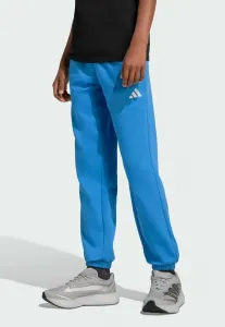 Основные спортивные штаны Adidas Sportswear, Ray Blue White