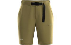 Повседневные шорты мужские HOTSUIT, оливковый