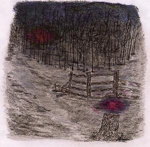 CD диск Telepathe: Farewell Forest