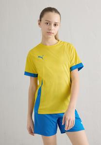 Футболка Puma TEAMGOAL MATCHDAY, Gelbblau/Yellow