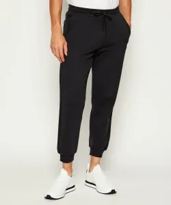 Спортивные штаны Regular fit Replay, черный