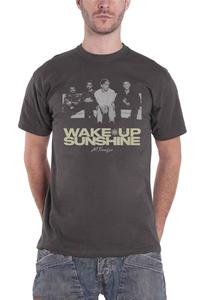 Футболка Faded Wake Up Sunshine All Time Low, серый