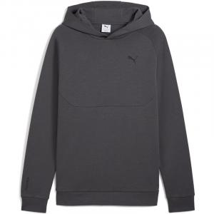 Толстовка Kapuzensweat tech hoodie dk Puma, серый