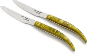 Ножи для стейков Arcos Jose Andres, 2 предмета, зеленый