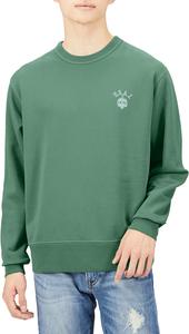 Мужская толстовка Alpha Industries TC1554, классический толстовка с круглым вырезом (с принтом USAI), зеленый