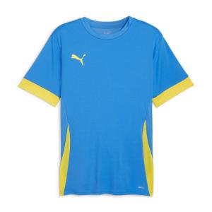 Мужская футболка Puma teamGOAL Matchday Jersey 705747