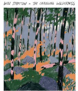 Виниловая пластинка Stratton, Will: The Changing Wilderness