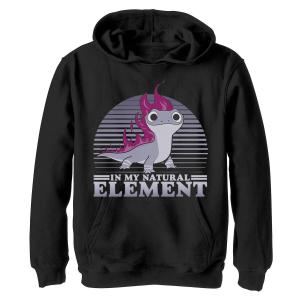 Толстовка Bruni In My Natural Element Retro Lines для мальчиков 8–20 лет Disney Frozen 2 Disney