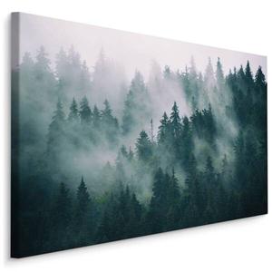 Картина на холсте Muralo Wald im Nebel Landschaft 3D, 30x20x20 см цвет grau/grün/weiß