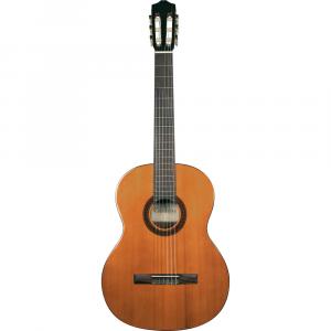 Cordoba C5 Iberia Series Nylon-String Classical 99-751-0260