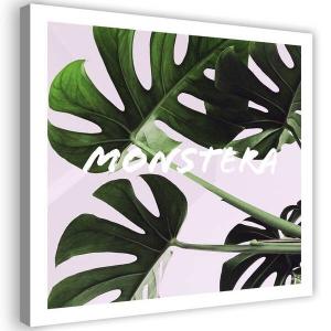 Картина на холсте Feeby Monstera Exotische Blätter, зеленый