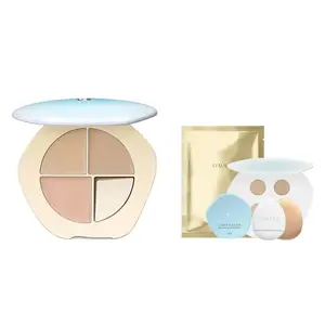 Пластина для маскировки набор для макияжа кисть-консилер с двойным наконечником естественное покрытие без эффекта маски 5g+кисть для макияжа TIMAGE