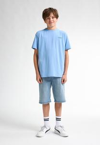 Футболка с принтом BACK PRINT FLAMINGOLINE Petrol Industries, светло-голубой