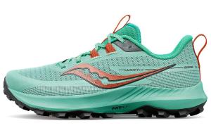 Кроссовки saucony Women's Peregrine 13 'Sprig Canopy'