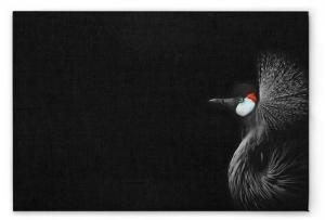 Картина на холсте A.S. Création Crowned Crane цвет schwarzweissrot