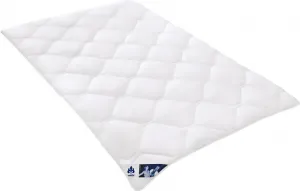 Одеяло Irisette Edition 4-Seasons - 200x200 см TB Bettwaren