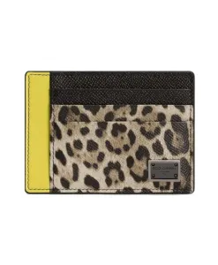 Кошелек с отделениями для карт и леопардовым принтом Dolce & Gabbana, мультиколор
