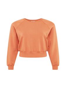 Толстовка ABOUT YOU Curvy Marin, коричневый