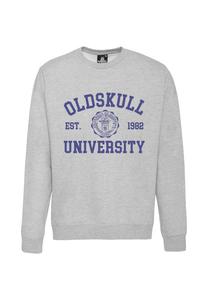 Толстовка Oldskull Retro University, серый