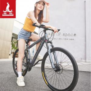 Горный велосипед Phoenix 26 дюймов на 24 скорости для взрослых, серебристо-серый