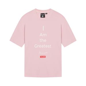 Футболка мужская Palladium, розовый