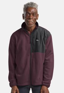 Флисовая куртка Jack Wolfskin SUMETRO FZ M, Amaranth/Purple