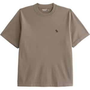 Футболка мужская Abercrombie＆Fitch, коричневый
