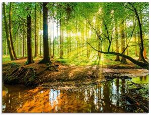 Стеклянная картина Artland Wald mit Bach, 80x60x2 см, зеленый