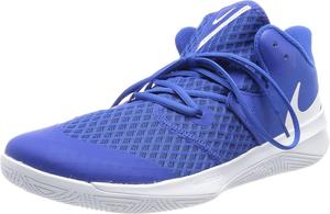 Мужские волейбольные кроссовки Nike, Blue