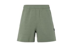 Повседневные шорты мужские серые Nike, серый