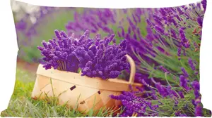 Декоративная подушка , подушка для дивана, декоративная подушка для гостиной, 50x30 см, свежая лаванда в корзине - украшение для гостиной - подушка с фотографией MuchoWow