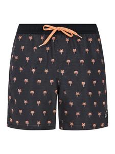 PROTEST Шорты для серфинга 'PRTParco' в сером цвете