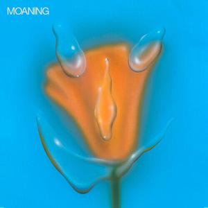 Виниловая пластинка Moaning: Uneasy Laughter