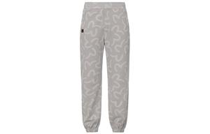 Трикотажные спортивные штаны мужские серые Evisu, серый