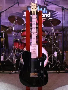 Электрогитара PRS CE NF53 Blackdoghair с чехлом