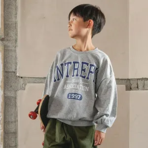 Большая флисовая толстовка с разнообразными графическими принтами Branshes, цвет 76_Heather Gray