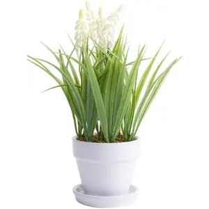 Botanic-Haus искусственный цветок «Мускари в горшке», цвет creme-weiß