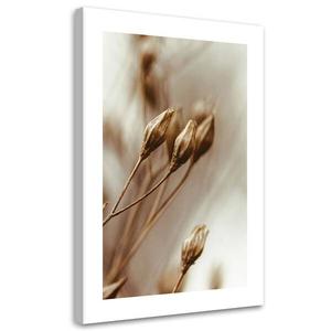 Картина арт-принт KUNSTLOFT Sepia Toned Dried Flower Buds, бежевый