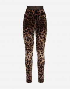 Леггинсы из шенилла с жаккардовым леопардовым узором Dolce & Gabbana, мультиколор