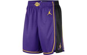 Баскетбольные шорты Dri-FIT Mens NBA Swingman фиолетовые Jordan, фиолетовый